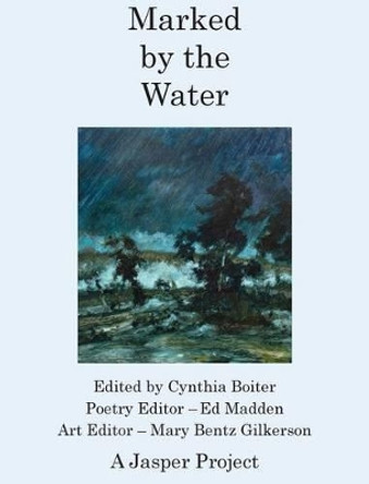 Marked by the Water: Artists Respond to a Thousand Year Flood by Cynthia A Boiter 9781942081074