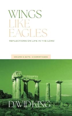 Wings Like Eagles: Reflections on Life in the Lord Vol. 5: Acts-Galatians by David King 9781955285803