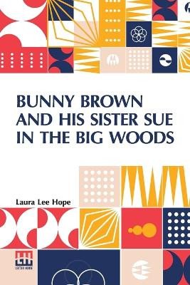 Bunny Brown And His Sister Sue In The Big Woods by Laura Lee Hope 9789356143104