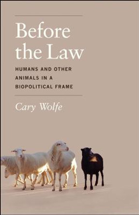 Before the Law: Humans and Other Animals in a Biopolitical Frame by Cary Wolfe