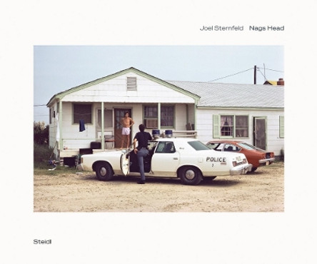 Joel Sternfeld: Nags Head by Joel Sternfeld 9783969993187