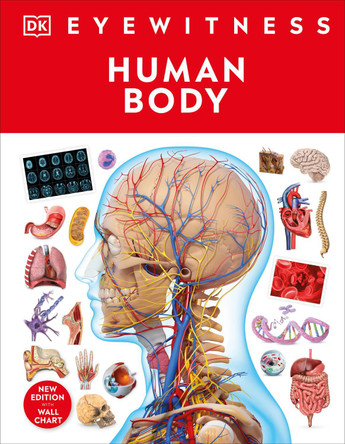 Human Body by DK