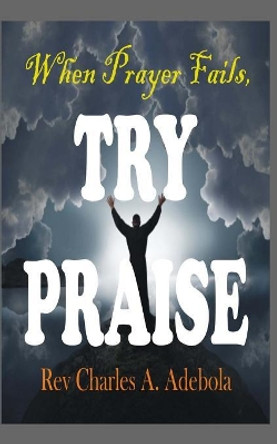 When Prayer Fails Try Praise by Charles a Adebola 9781530201075