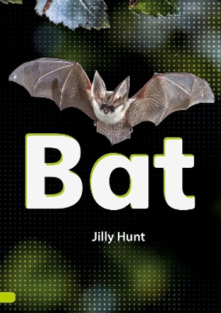 Bat (Set 02) Jilly Hunt 9780702327070