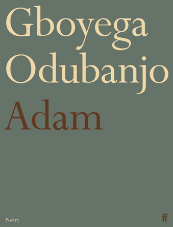 Adam Gboyega Odubanjo 9780571390403