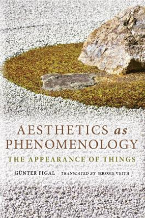 Aesthetics as Phenomenology: The Appearance of Things by Gunter Figal