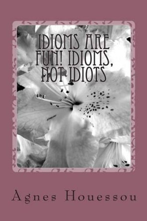 Idioms are Fun! Idioms, not Idiots by Agnes Houessou 9781505837162