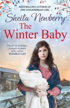 The Winter Baby: A perfect, heartwarming winter story from the Queen of Family Saga Sheila Newberry 9781804187692