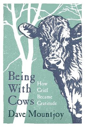 Being With Cows Dave Mountjoy 9781835010365