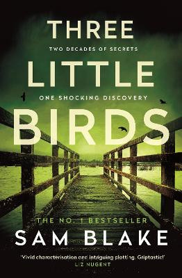 Three Little Birds Sam Blake 9781805460145