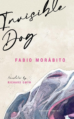 Invisible Dog Fabio Morábito 9781800174511