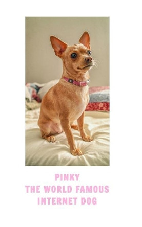 Pinky The Famous Internet Dog by Christopher Happy 9780368083815