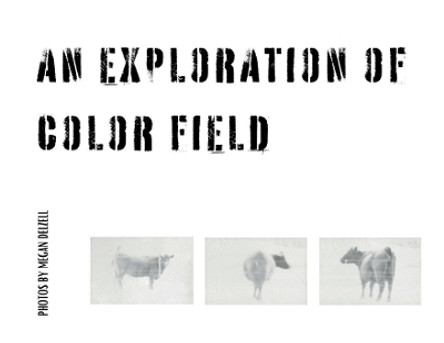 An Exploration In Color Field by Megan Delzell 9798868991059