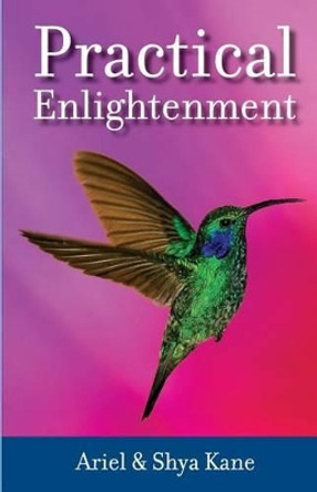 Practical Enlightenment by Ariel And Shya Kane 9781943625017
