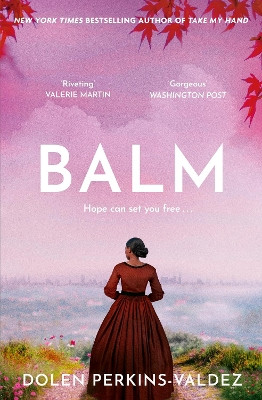 Balm: From the New York Times bestselling author of Take My Hand Dolen Perkins-Valdez 9781399620352