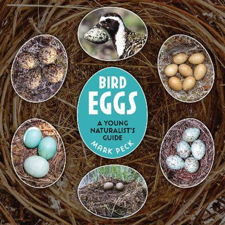 Bird Eggs: A Young Naturalist's Guide Mark Peck 9780228104827