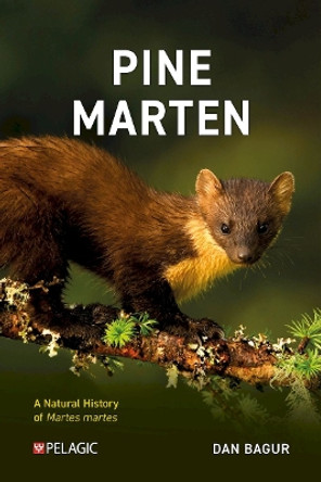 Pine Marten: The Secret Life of Martes martes Dan Bagur 9781784274276