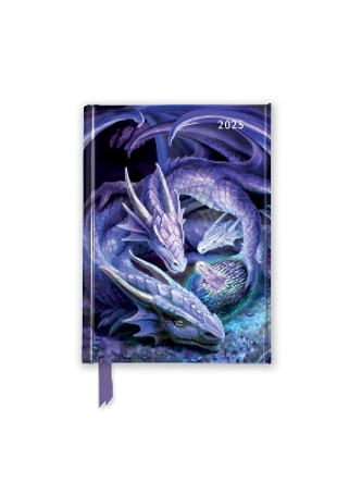 Anne Stokes: Welcome Hatchling 2025 Luxury Pocket Diary Planner - Week to View Flame Tree Studio 9781835621493