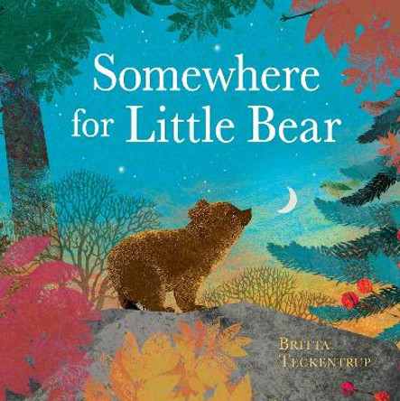 Somewhere for Little Bear Britta Teckentrup 9781408359723