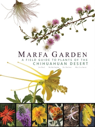 Marfa Garden: A Field Guide to Plants of the Chihuahuan Desert Jim Martinez 9781595343161