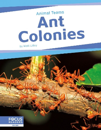 Animal Teams: Ant Colonies Matt Lilley 9798889982449