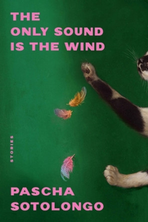 The Only Sound Is the Wind: Stories Pascha Sotolongo 9781324076445