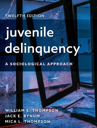 Juvenile Delinquency: A Sociological Approach William E Thompson 9781538183465