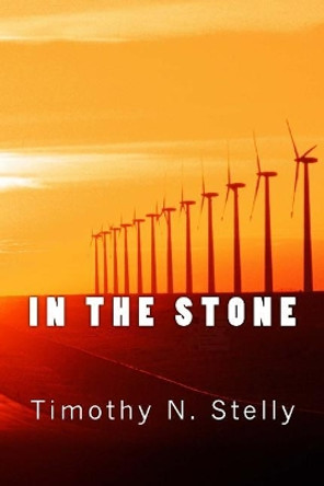 In the Stone by Timothy Stelly 9781981960217