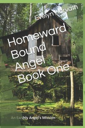 Homeward Bound Angel Book One by Theresa J Nichols 9781798434079