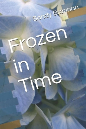 Frozen in Time by Sandy Brannan 9798565128703