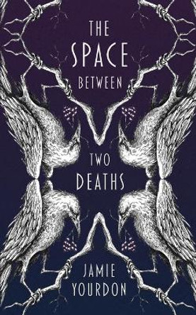 The Space Between Two Deaths by Jamie Yourdon 9781952919008