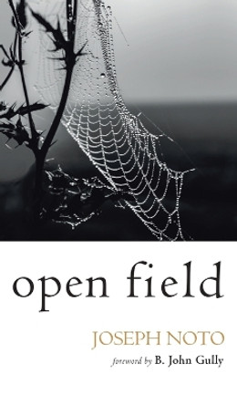 Open Field by Joseph Noto 9781666760507