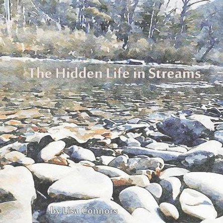 The Hidden Life in Streams by Lisa Connors 9781676300991