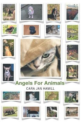 Angels for Animals by Cara Jan Hamill 9781635684483