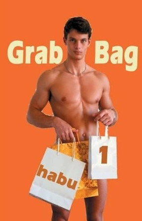 Grab Bag 1: Gay Erotica Unthemed Anthology by Habu 9781922187277