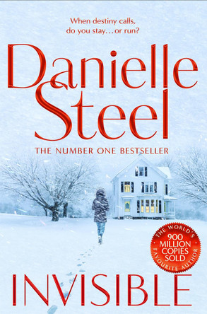 Invisible: A compelling story of ambition and pursuing a dream from the billion copy bestseller Danielle Steel 9781529021844