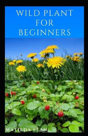 Wild Plant for Beginners: A book guide on how to ethically plant, identify, harvest, prepare, eat and preserve wild plants by Matilda Sean 9798561199783