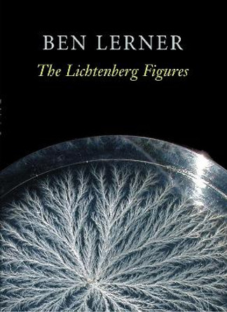 Lichtenberg Figures by Dr Ben Lerner 9781556592119