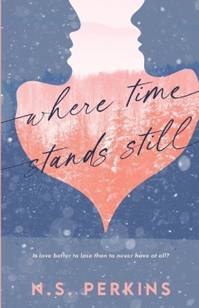 Where Time Stands Still by N S Perkins 9781778044847