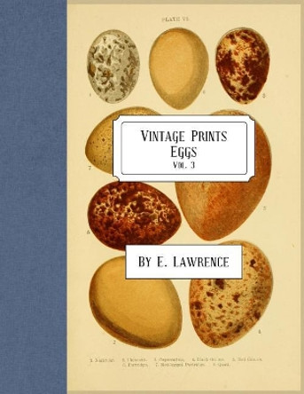 Vintage Prints: Eggs: Vol. 3 by E Lawrence 9781987738193
