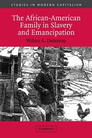 The African-American Family in Slavery and Emancipation by Wilma A. Dunaway 9780521012164