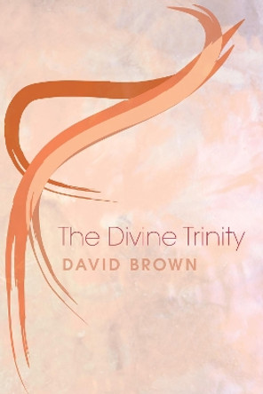 The Divine Trinity by Professor of Modern History David Brown 9781610977500