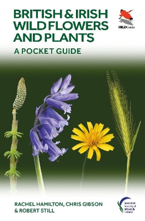 British and Irish Wild Flowers and Plants: A Pocket Guide by Rachel Hamilton 9780691245409