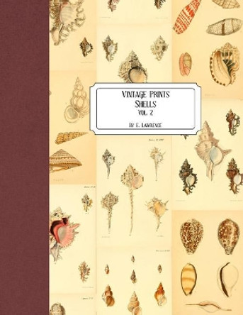 Vintage Prints: Shells: Vol. 2 by E Lawrence 9781727183016