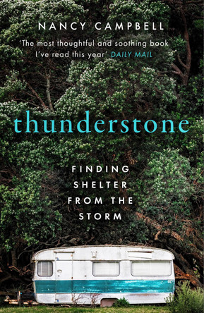 Thunderstone: Finding Shelter from the Storm by Nancy Campbell