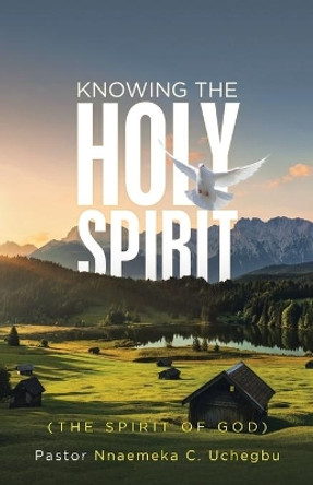 Knowing the Holy Spirit: (The Spirit of God) by Pastor Nnaemeka C Uchegbu 9781532082580