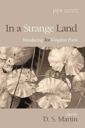 In a Strange Land by D S Martin 9781532677748