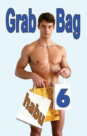 Grab Bag 6: A Gay Erotica Anthology by Habu 9781925190281