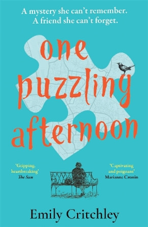 One Puzzling Afternoon: The most compelling, heartbreaking debut mystery by Emily Critchley 9781804181287