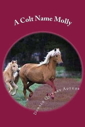 A Colt Name Molly: Ther Hunt For ''Febee'' by Donald Jamesa Quinnet 9781717342539